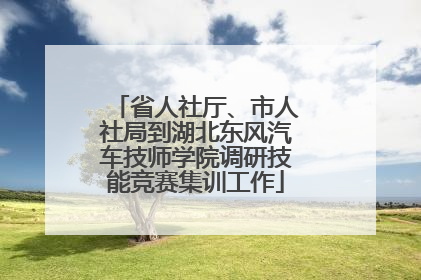 省人社厅、市人社局到湖北东风汽车技师学院调研技能竞赛集训工作