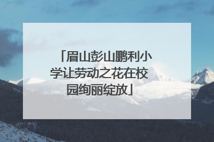 眉山彭山鹏利小学让劳动之花在校园绚丽绽放