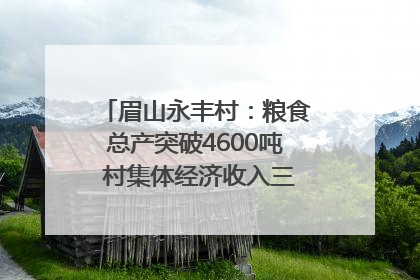 眉山永丰村：粮食总产突破4600吨 村集体经济收入三年倍增｜牵挂的村