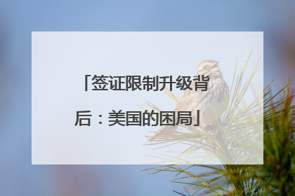 签证限制升级背后：美国的困局