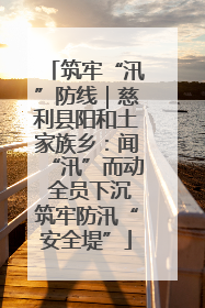 筑牢“汛”防线｜慈利县阳和土家族乡：闻“汛”而动 全员下沉筑牢防汛“安全堤”