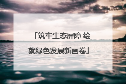 筑牢生态屏障 绘就绿色发展新画卷
