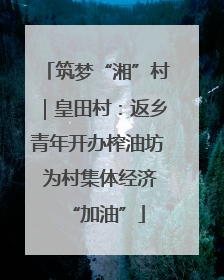 筑梦“湘”村｜皇田村：返乡青年开办榨油坊 为村集体经济“加油”