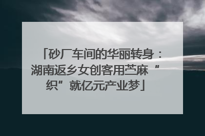 砂厂车间的华丽转身：湖南返乡女创客用苎麻“织”就亿元产业梦