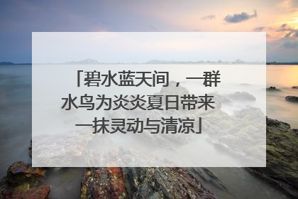 碧水蓝天间，一群水鸟为炎炎夏日带来一抹灵动与清凉