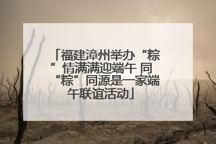 福建漳州举办“粽”情满满迎端午 同“粽”同源是一家端午联谊活动