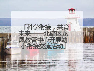 科学衔接，共育未来——北碚区龙凤教管中心开展幼小衔接交流活动