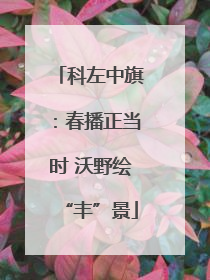 科左中旗：春播正当时 沃野绘“丰”景