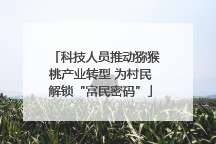 科技人员推动猕猴桃产业转型 为村民解锁“富民密码”