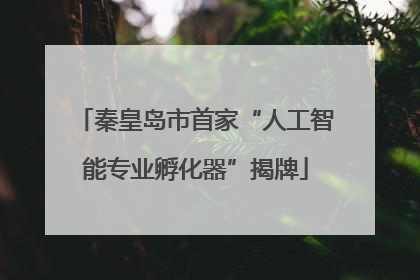 秦皇岛市首家“人工智能专业孵化器”揭牌