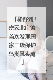 稀客到！密云北庄镇首次发现国家二级保护鸟类凤头鹰