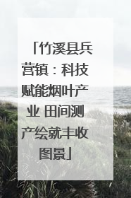 竹溪县兵营镇：科技赋能烟叶产业 田间测产绘就丰收图景
