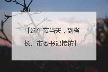 端午节当天，副省长、市委书记接访