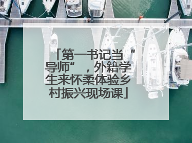 第一书记当“导师”，外籍学生来怀柔体验乡村振兴现场课