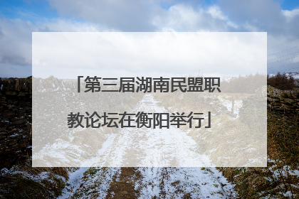 第三届湖南民盟职教论坛在衡阳举行