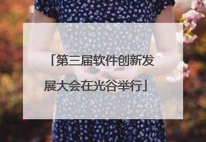 第三届软件创新发展大会在光谷举行