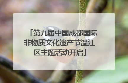 第九届中国成都国际非物质文化遗产节温江区主题活动开启