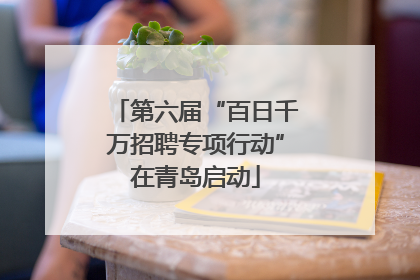 第六届“百日千万招聘专项行动”在青岛启动
