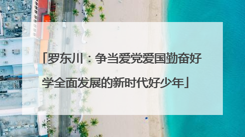 罗东川：争当爱党爱国勤奋好学全面发展的新时代好少年