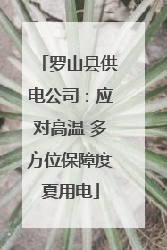 罗山县供电公司：应对高温 多方位保障度夏用电