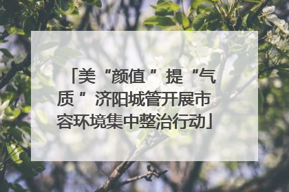 美“颜值 ”提“气质 ”济阳城管开展市容环境集中整治行动