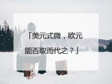 美元式微，欧元能否取而代之？