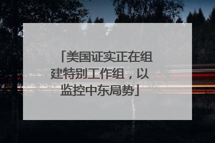 美国证实正在组建特别工作组，以监控中东局势