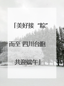 美好接“粽”而至 四川台胞共迎端午