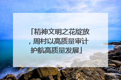 精神文明之花绽放,周村以高质量审计护航高质量发展