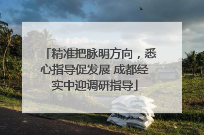精准把脉明方向，悉心指导促发展 成都经实中迎调研指导