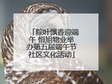 粽叶飘香迎端午 恒旭物业举办第五届端午节社区文化活动