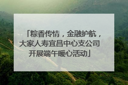 粽香传情，金融护航，大家人寿宜昌中心支公司开展端午暖心活动
