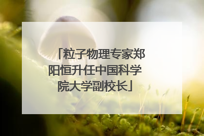 粒子物理专家郑阳恒升任中国科学院大学副校长