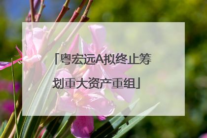 粤宏远A拟终止筹划重大资产重组