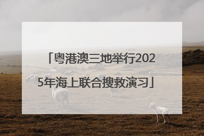 粤港澳三地举行2025年海上联合搜救演习