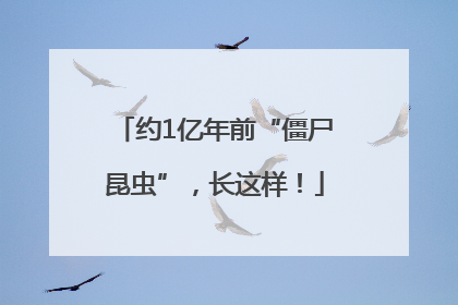 约1亿年前“僵尸昆虫”，长这样！