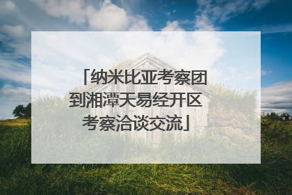 纳米比亚考察团到湘潭天易经开区考察洽谈交流