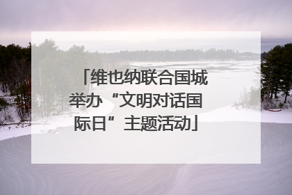 维也纳联合国城举办“文明对话国际日”主题活动