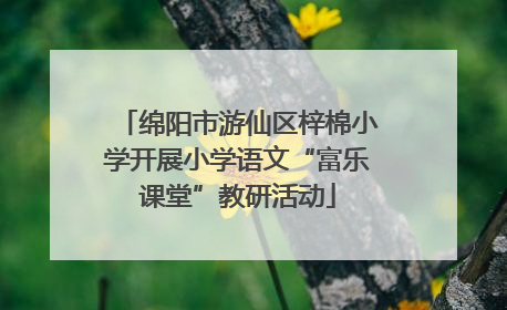 绵阳市游仙区梓棉小学开展小学语文“富乐课堂”教研活动