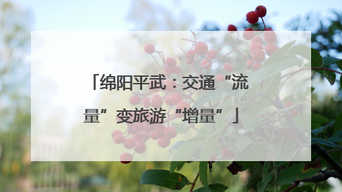 绵阳平武：交通“流量”变旅游“增量”