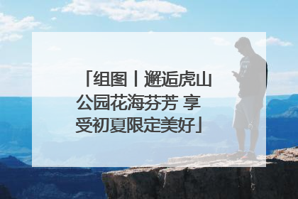 组图丨邂逅虎山公园花海芬芳 享受初夏限定美好