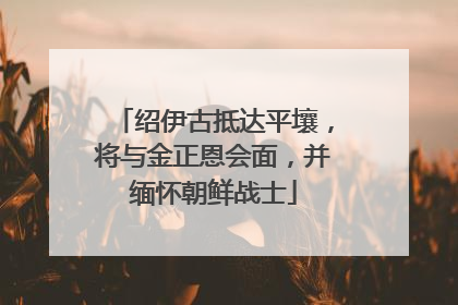 绍伊古抵达平壤，将与金正恩会面，并缅怀朝鲜战士