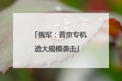 俄军：普京专机遭大规模袭击