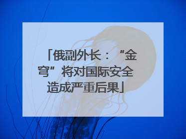 俄副外长：“金穹”将对国际安全造成严重后果