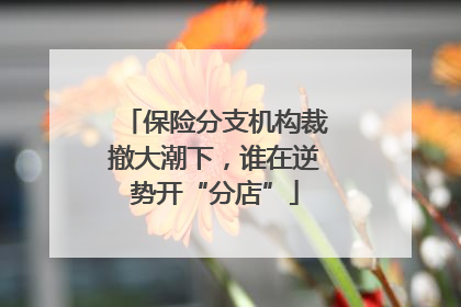 保险分支机构裁撤大潮下，谁在逆势开“分店”