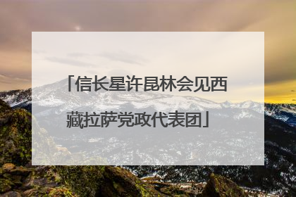 信长星许昆林会见西藏拉萨党政代表团