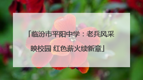 临汾市平阳中学：老兵风采映校园 红色薪火续新章