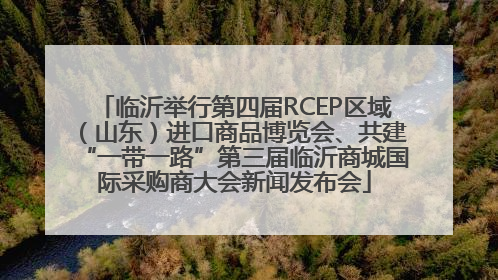 临沂举行第四届RCEP区域（山东）进口商品博览会、共建“一带一路”第三届临沂商城国际采购商大会新闻发布会