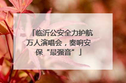 临沂公安全力护航万人演唱会，奏响安保“最强音”