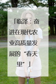 临泽：奋进在现代农业高质量发展的“春天里”